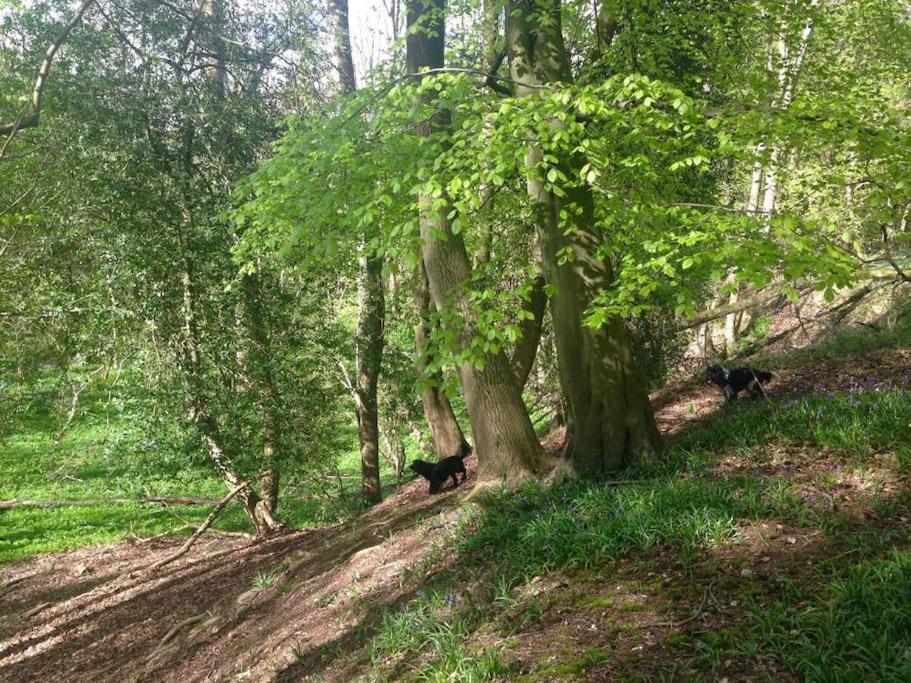Bumblebee Cottage - Cosy Cottage In Area Of Outstanding Natural Beauty Hemel Hempstead Eksteriør bilde