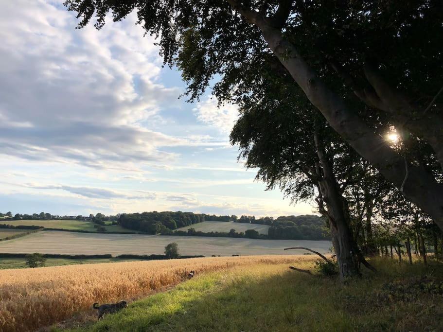 Bumblebee Cottage - Cosy Cottage In Area Of Outstanding Natural Beauty Hemel Hempstead Eksteriør bilde